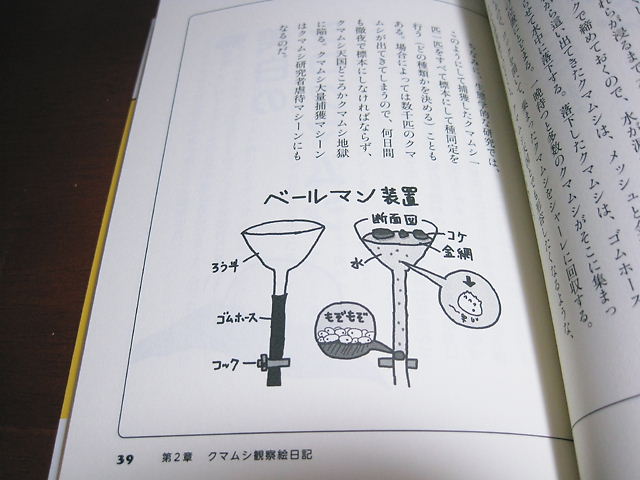 イメージ 8
