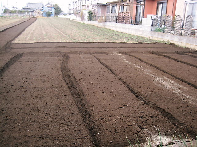 イメージ 8