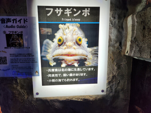 20260909_115259