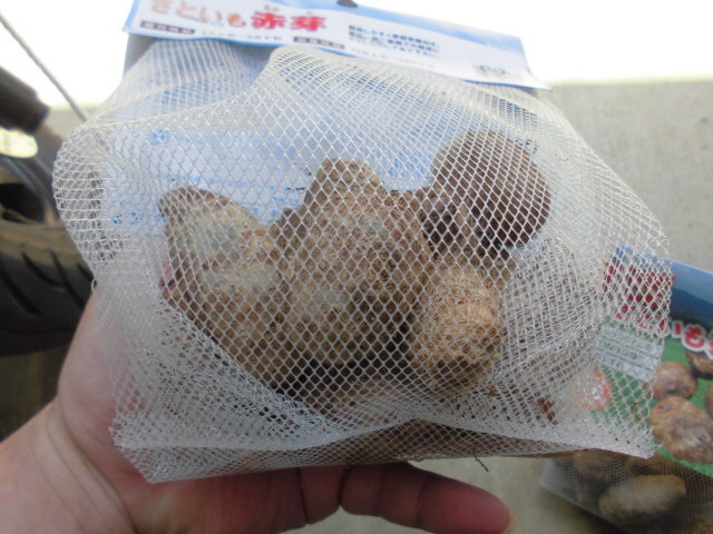 CIMG1608