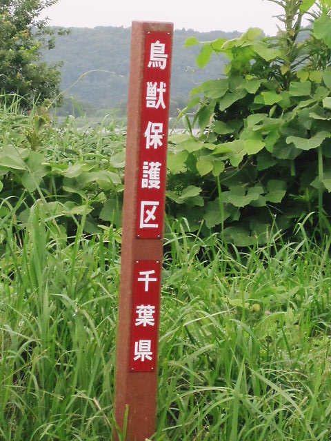 イメージ 10