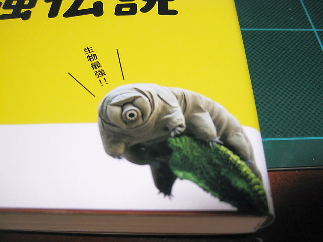 イメージ 4