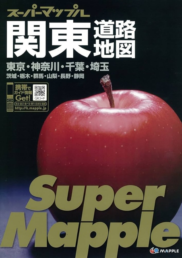 61bRAFl4OtL._AC_UF10001000_QL80_