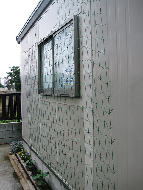 イメージ 6
