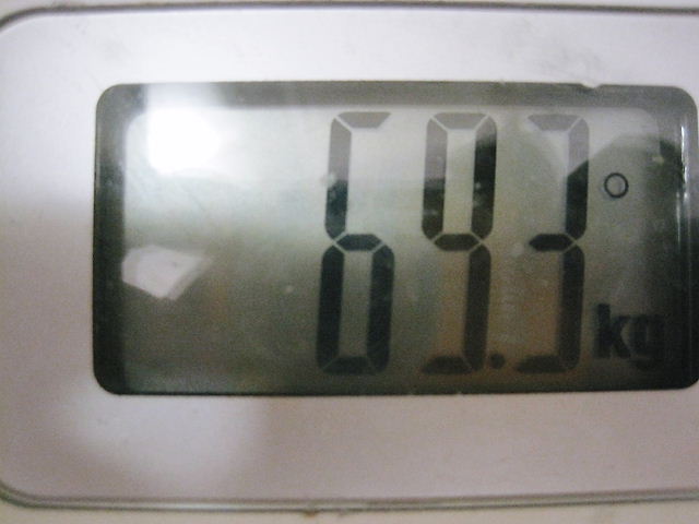 6月 (1)