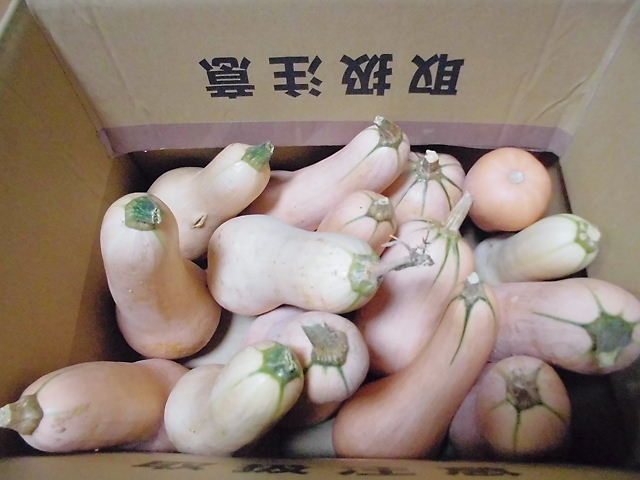 CIMG5409