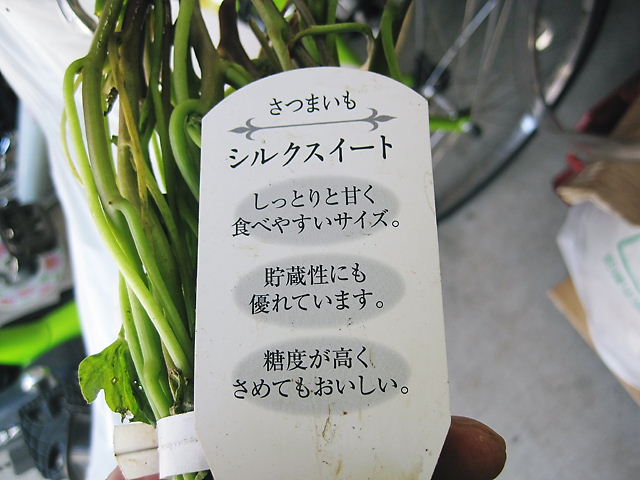 イメージ 7