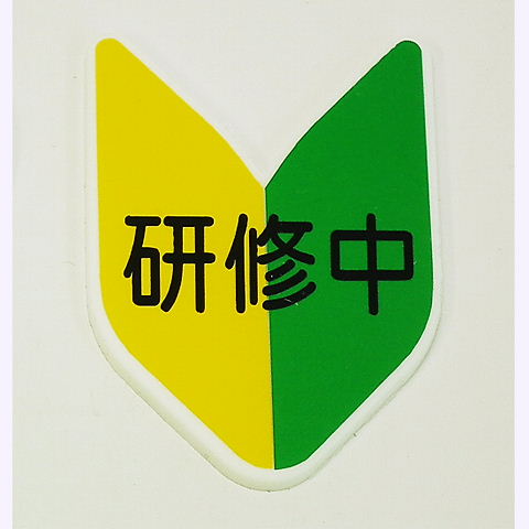 イメージ 7