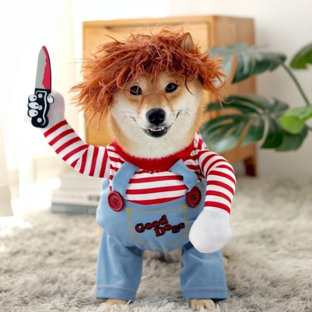 various-goods_pet-3size_6