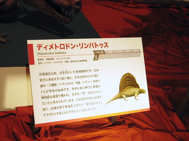イメージ 7