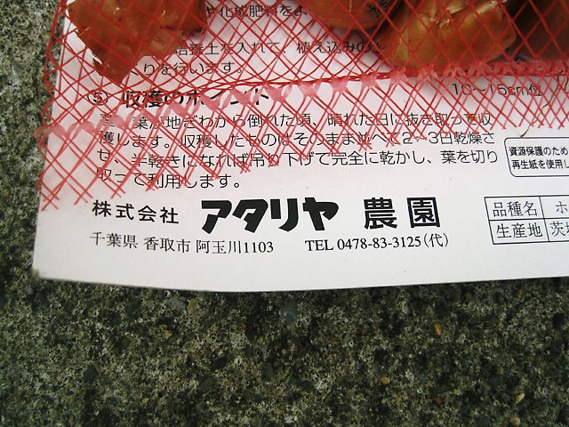 イメージ 6