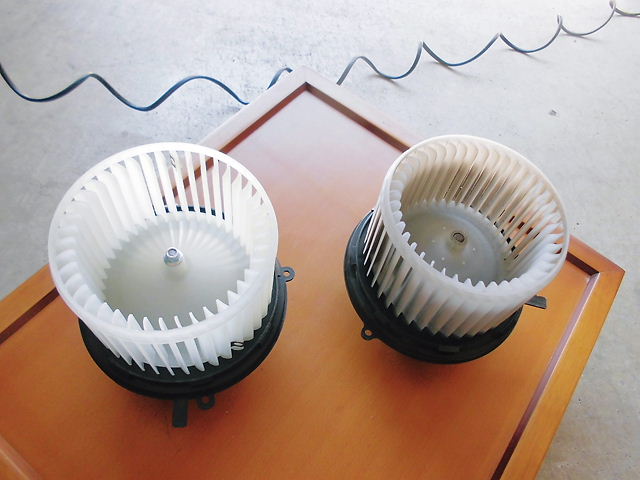 CIMG8954