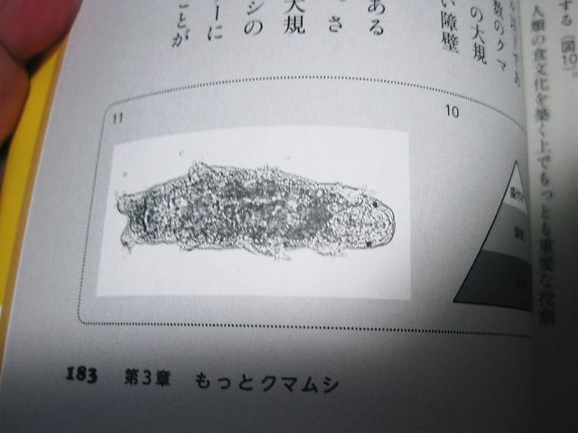 イメージ 9