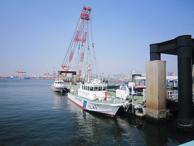 イメージ 8