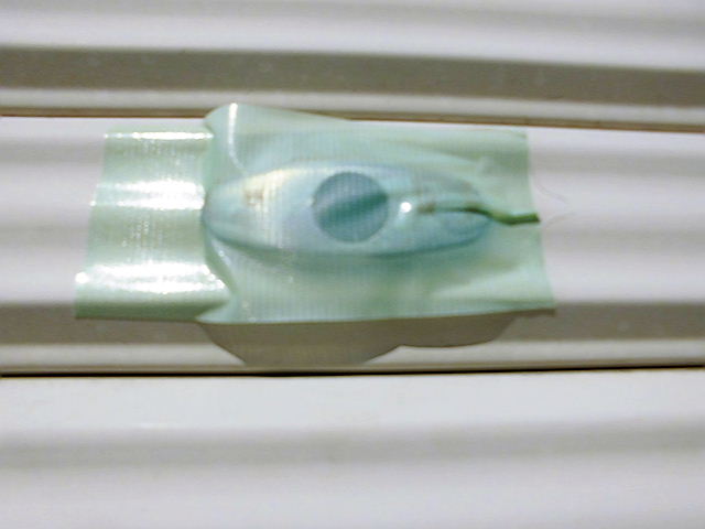 CIMG7955