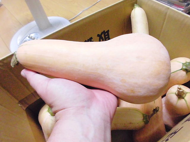 CIMG5411