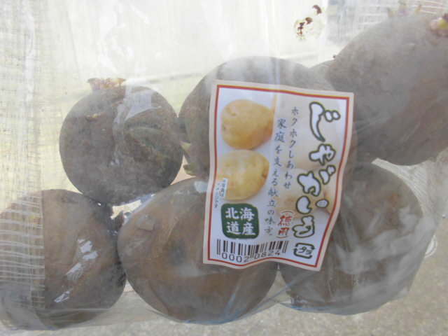 CIMG1369