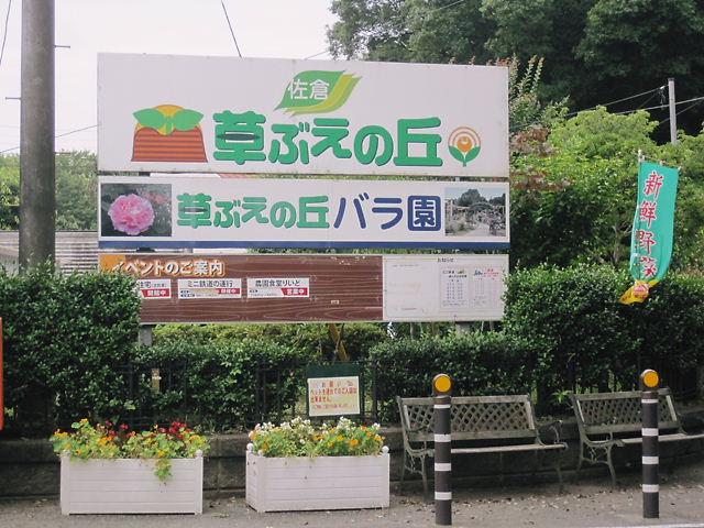 イメージ 6