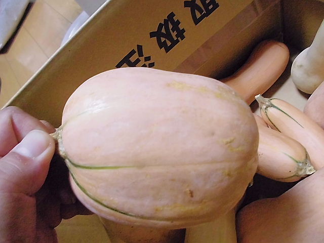 CIMG5412