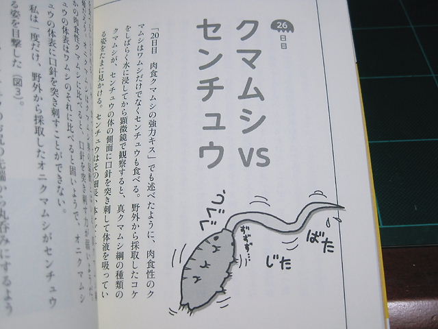 イメージ 10