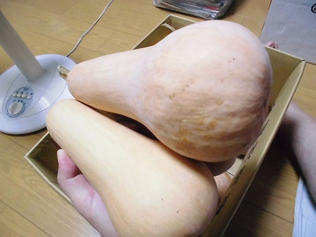 CIMG5414