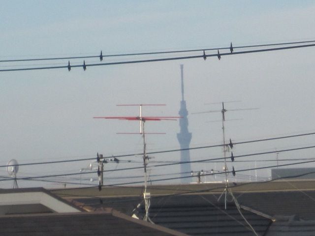 イメージ 3