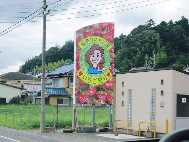 イメージ 9