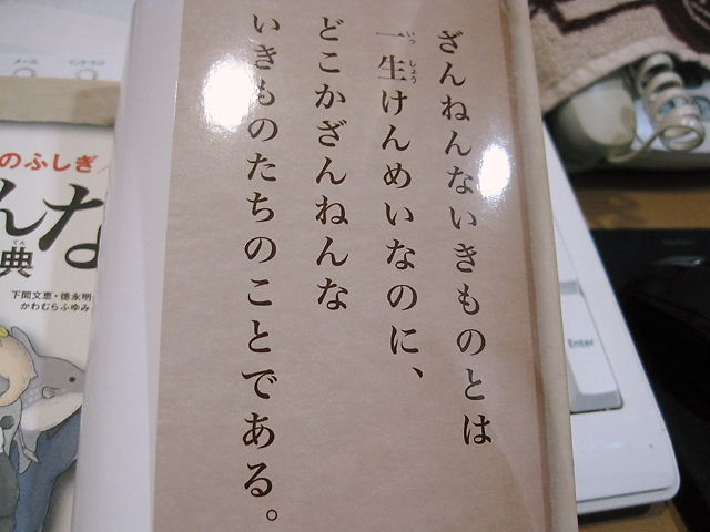 イメージ 4