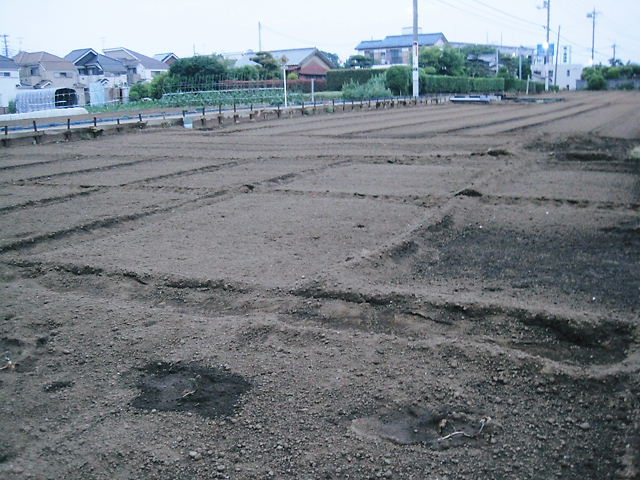 イメージ 5