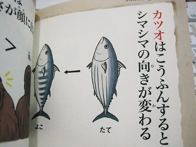 イメージ 7