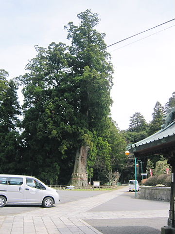 イメージ 4