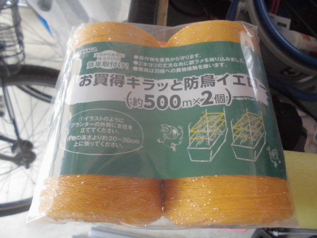 CIMG1746