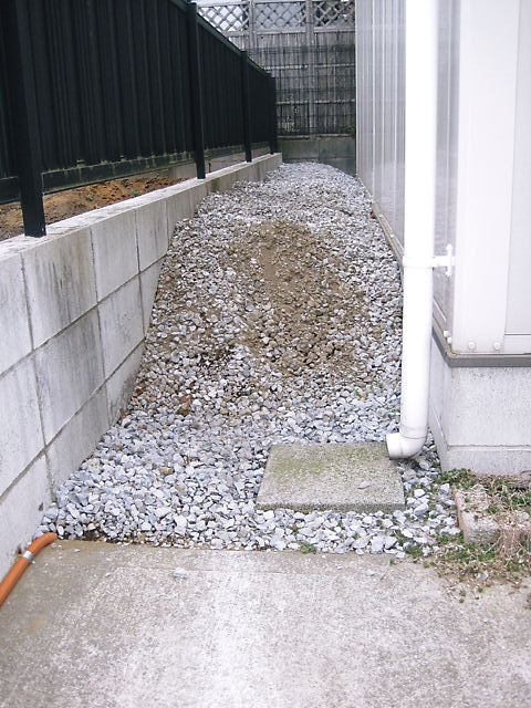 イメージ 7