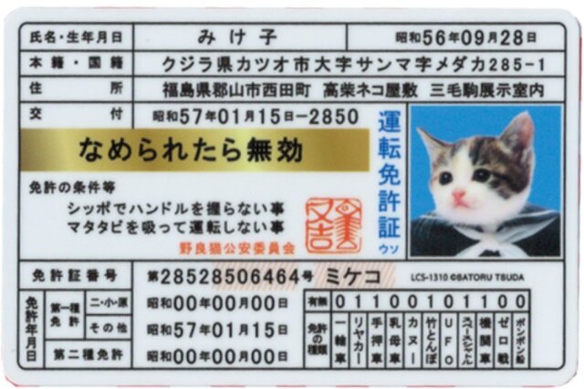 174681887