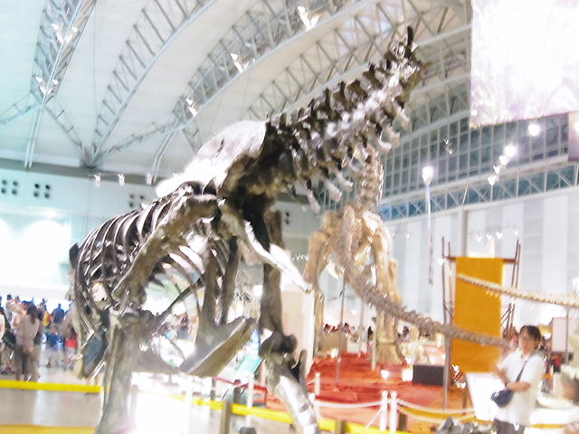 イメージ 15