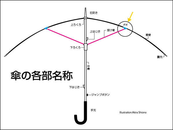 イメージ 5