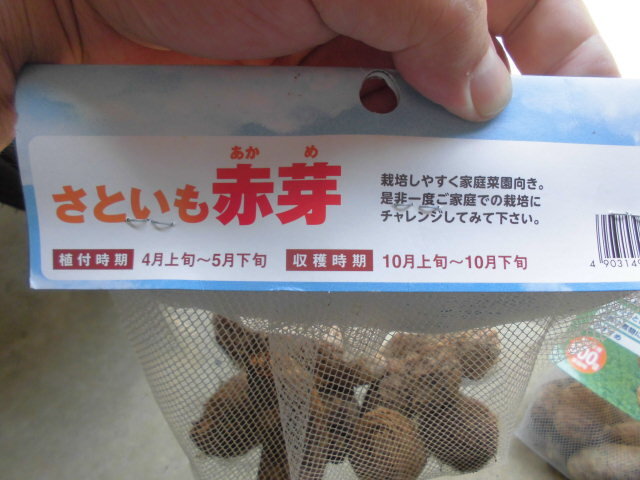 CIMG1607