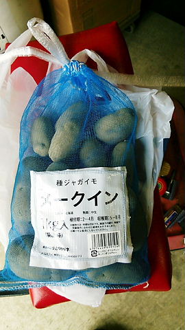 イメージ 5