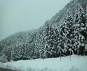 153f60c3.jpg