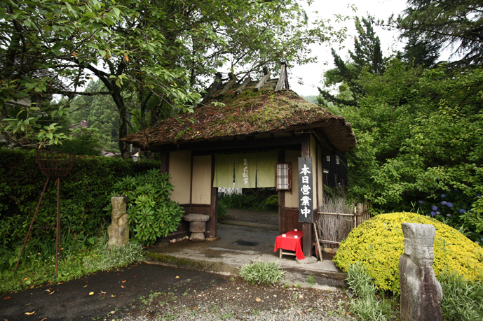 196bbaf7.jpg