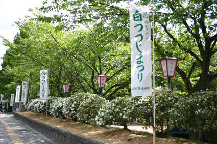 45e544d0.jpg