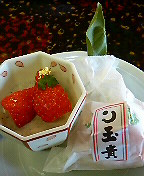 5f051823.jpg