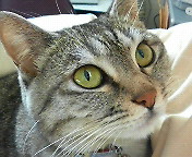 6cbdb76b.jpg
