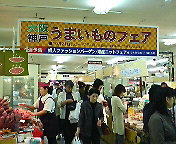 7a313a87.jpg