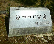 8391b781.jpg