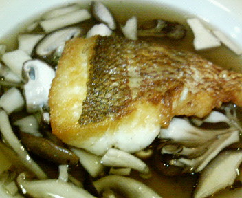 c6e084b6.jpg