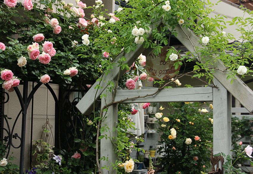 オープンガーデン終了 花みてダンゴ
