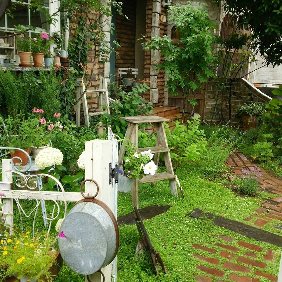 素敵なお庭訪問 花みてダンゴ 素敵なお庭訪問 花みてダンゴ
