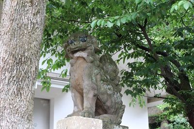IMG_0540 1