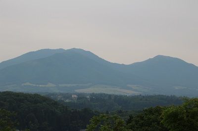 IMG_0690 1